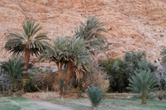Morocco Oasis Tours 11