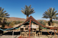 Morocco Oasis Tours 12