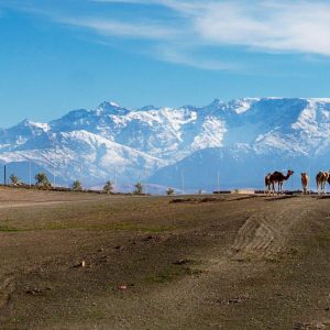 Atlas montagnes with snow in morocco