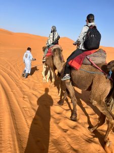 camel tours in desert morocco