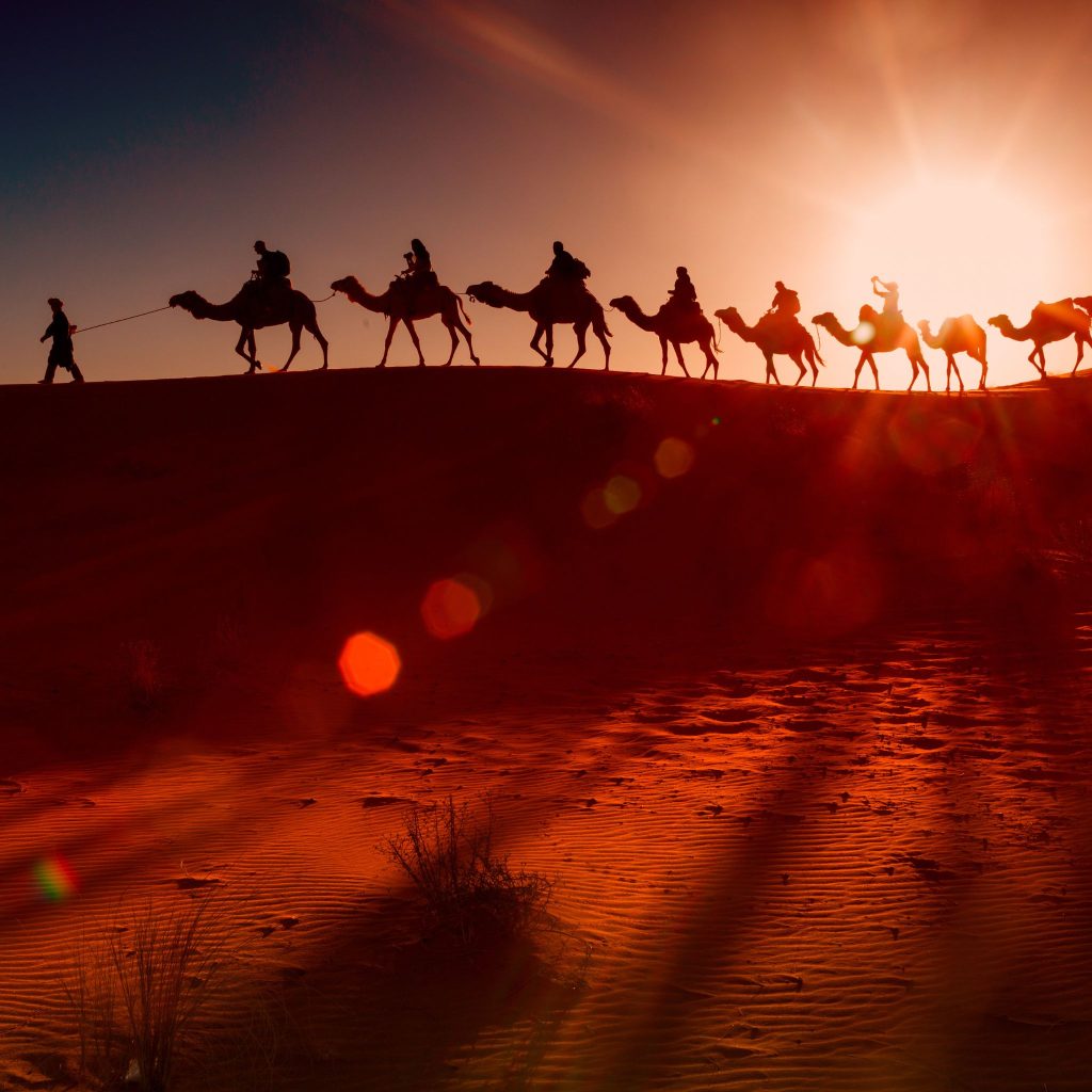 Morocco Guided Tours